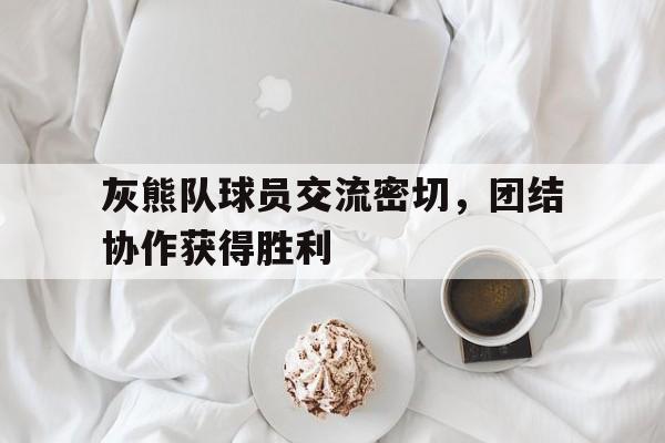 包含灰熊队球员交流密切，团结协作获得胜利的词条